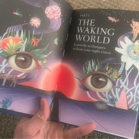 Night Vision: A Field Guide To Your Dreams By Theresa Cheung - Picture 10 of 10